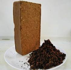 Premium 5kg Coconut <b>Coir</b> Peat <b>Block</b> 100% Natural Growing Medium for Hydroponics Greenhouse Agriculture Vietnam - Product Image 4