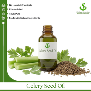 Celery Seed Oil Manufacturing Supplier Offering Reliable Wholesale Essential Oil Supply for Cosmetic Companies Personal Care - Product Image 1