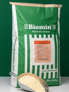 Bolsas de Papel Kraft Cosidas Impresas en Flexografía 100% Biodegradables Personalizadas de Alta Calidad con Cierre Superior de Cuerda de Algodón - Product Image 1