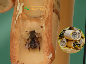 Eco2go Vietnam Tubes de nidification en bambou naturel écologiques et durables à motif animalier, hôtels pour insectes et abris pour abeilles, pour usage extérieur - Product Image 1