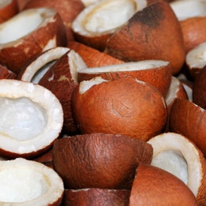 Noyaux de noix de coco mûres séchés au soleil, rendement supérieur, longue durée de conservation, produit en vrac pour les acheteurs mondiaux - Product Image 6