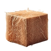 Vente en gros de fibres de coco longues de marque BASAGRI, emballage en balles de haute qualité, agriculture indonésienne pour les acheteurs exportateurs européens