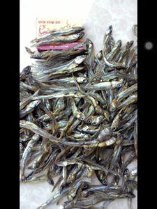 Anchois entiers séchés au soleil, faible teneur en sel, IQF, export du Vietnam, produits de la mer pour la cuisine, vente au détail et distribution en gros - Product Image 3