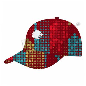 New Arrival Premium Quality Sports Hats Latest Design Sports Hats Custom Logo New Design Sports Hats - Product Image 1