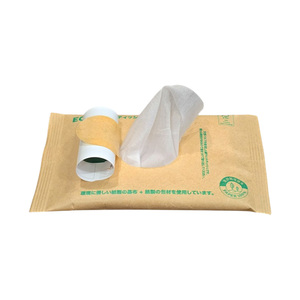 [PLPLUS] Lingettes humides en coton biodégradables écologiques ADtissue (10 lingettes) sans plastique, lingettes nettoyantes extra douces - Product Image 2