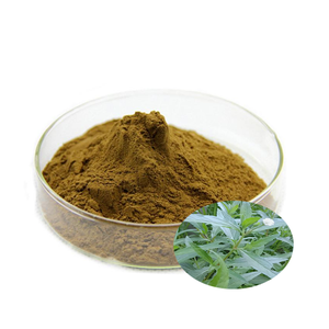 Poudre de Bhringraj ayurvédique 100 % naturelle, pure et à base de plantes, aide à maintenir la couleur naturelle des cheveux et un cuir chevelu sain. - Product Image 3