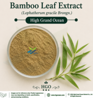 Extrait de feuille de bambou (Lophatherum gracile Brongn.) fourni directement par l'usine HGO (Aliments santé de qualité alimentaire) 4:1 5:1 10:1 20:1 100:1 200:1
