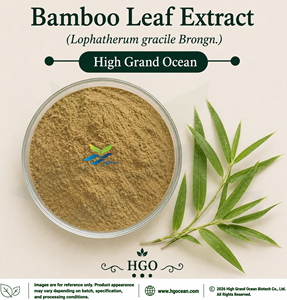 Suministro Directo de Fábrica HGO, Extracto de Hoja de Bambú (Lophatherum gracile Brongn.) (Grado Alimenticio) 4:1 5:1 10:1 20:1 100:1 200:1 - Product Image 1