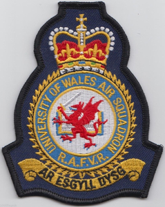 Custom Logo Hat and Vest Patches Iron On Embroidered Twill Patches Bulk Wholesale Manufacturer - Product Image 5