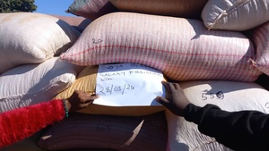 Graines de soja biologiques non-OGM séchées, traitées par lyophilisation, origine Tanzanie, 25 kg en vrac, vente en gros pour l'alimentation des volailles et la nutrition animale - Product Image 3