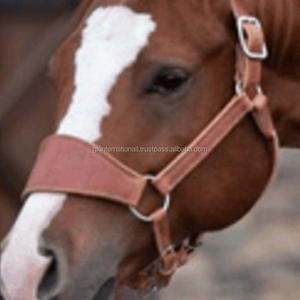 Licou en cuir de cheval confortable et durable en cuir équestre de haute qualité course de chevaux et licou d'entraînement - Product Image 1