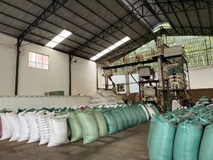 Le meilleur poivre noir PINHEAD POIVRE DE L'USINE DU VIETNAM 3MM, 2.5MM, 2MM, 1.5MM, 1MM - Product Image 3