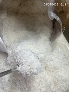 Coco Deshidratado en Tiras Largas de Vietnam |   Alto contenido de grasa 65% mín. |   Mejor Precio para Panadería y Confitería - Product Image 2