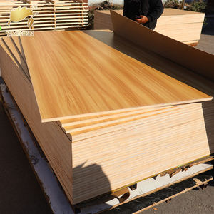 Contreplaqué mélaminé antibactérien de 4x8 pieds, 18 mm, pour les soins de santé - Product Image 1