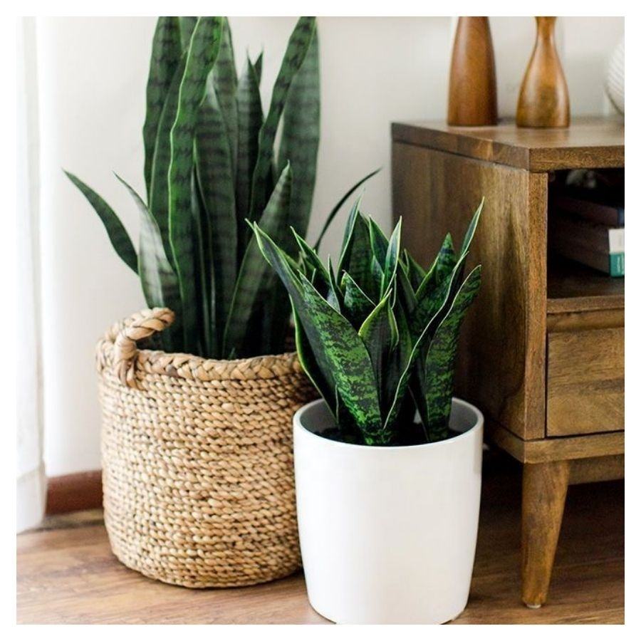 Customized as request