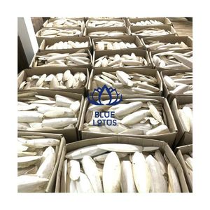 กระดูกปลาหมึกสำหรับนก ปี 2026 ที่ลูกค้ารับรองแล้ว ใช้เป็นแหล่งแร่ธาตุสำหรับการบดปากและเคี้ยว - Product Image 1