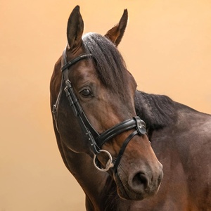 <b>Padded</b> Non-Slip PVC Noseband for Riding <b>Smartly</b> Fitted Horse and Leather French Bridle with Black Rhinestone - Product Image 2