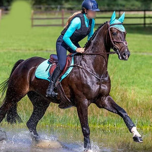 Bottes de brossage pour chevaux en gros – Meilleure qualité, sécurité équestre garantie - Product Image 4