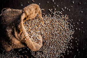 bajra pour la transformation alimentaire - Product Image 3