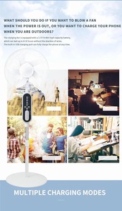 Ventilateur solaire sur pied de 16 pouces, ventilateur sur pied rechargeable de 14400 mAh, hauteur réglable, lumière LED nocturne, panneau solaire 2 ampoules LED - Product Image 3