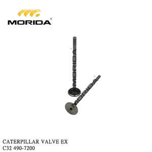Válvula C32 490-7200 EX para CATERPILLAR - Product Image 1
