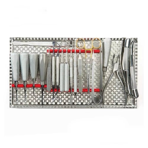 Kit d'instruments médicaux de laboratoire et outils manuels de dentiste de haute qualité pour la chirurgie buccale et les soins dentaires, vente en gros 2026 - Product Image 1