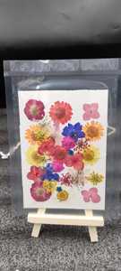 Feuilles de fleurs séchées naturelles pressées, couleurs mélangées, papier floral pour artisanat, bijoux en résine, bougies, savons, décoration DIY - Product Image 1
