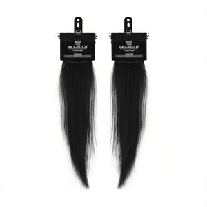 HairOriginals Clips latéraux larges populaires de style patch - Accessoires d'extension capillaire en plastique pour cheveux en trame - Product Image 2