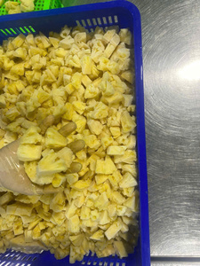 Frozen Pineapple Chunks/Slices/<b>Diced</b> Vietnam Best IQF Quality, 100% Natural - Product Image 3