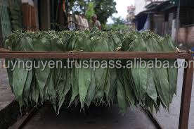 Feuilles de bambou 100% naturelles séchées au soleil, grande taille 9cm+, prix compétitif pour la fabrication de gâteaux, directement du Vietnam, marque HNIECO - Product Image 6