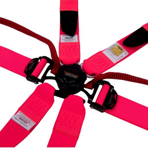 TBRACING ULTRA-D OEM ODM Fábrica Cinturón de Seguridad de 6 Puntos para Rally y Carreras de 2 Pulgadas FIA 8853-2016 con Costuras Cómodas y Patentado en Taiwán de Apertura Rápida - Product Image 4