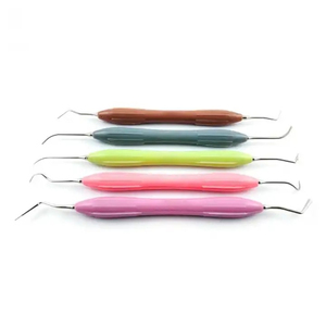 Kit de Instrumentos para Relleno Dental de Composite, Bone Bridge Instruments Solo Anterior Arte Lmarte, Juego de 5 Piezas, Instrumento Manual - Product Image 2