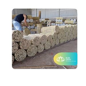 [DISPONIBLE] Soporte de Bambú Moderno y Resistente para Plantas, Varilla de Soporte para Árboles de Vivero, Estructura para Enredaderas, Son La - Product Image 1