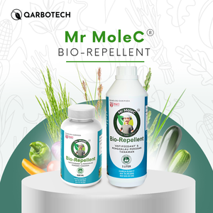 1L Mr MoleC Repelente Biológico 100% Puro, Líquido Anti-Insectos, Potenciador de la Fotosíntesis, Bioestimulante para el Control de la Alimentación de Insectos - Product Image 2