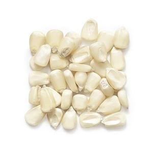 Maíz Amarillo/Blanco Seco No Glutinoso de Primera Calidad, Certificado HACCP, Empacado para Exportación, Gran Cantidad, para Consumo Humano, Internacional - Product Image 5