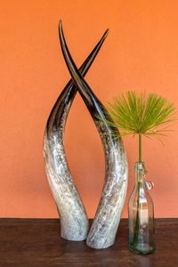 Decoración de cuerno de búfalo, cuerno hecho a mano - Product Image 5