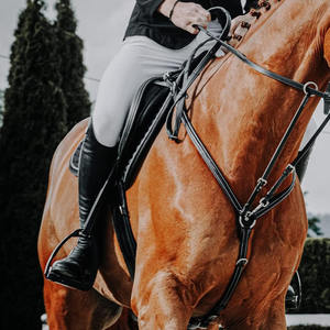 Harnais de polo professionnel pour chevaux, conçu pour la stabilité de la selle, l'équilibre du cavalier, l'entraînement et les jeux équestres. - Product Image 6