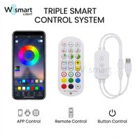 Ruban lumineux néon en tissu RGBIC USB 5V, 360 degrés, 60 LED, bande de pixels intelligentes aux couleurs de rêve pour la décoration ambiante de la salle de jeu