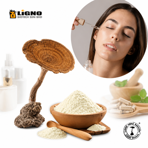 LiGNO TM02-Ex Extracto de Agua de Hongo Leche de Tigre, Ingrediente Avanzado para el Cuidado de la Piel, Materia Prima Cosmética Natural, Líquido en Tambor - Product Image 1