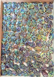 Natural Abalone Shell Carved Cabochon with Iridescent Color Play – Premium Jewelry Gemstone for Custom Design & Wholesale Bulk, - Product Image 3