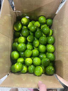 Citron vert sans pépins du Vietnam de haute qualité – Agrumes tropicaux frais pour les marchés internationaux - Product Image 1