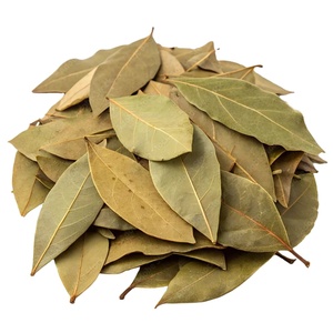 Feuilles de corossol séchées au soleil naturel du Vietnam, sélection botanique premium, soigneusement traitées, propres, aromatiques, conformes aux normes d'exportation - Product Image 2