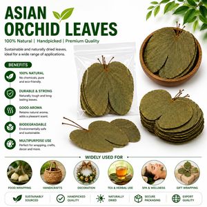 ใบไม้กล้วยไม้เอเชียธรรมชาติพรีเมียม AQUA VRIKSHA สำหรับตู้ปลา ตู้ปลากัด ตู้กุ้ง | ต่ำกว่า 10 ซม. | แพ็ค 50 ชิ้น - Product Image 5