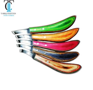 Cuchillo para Pezuñas de Caballo, Acero Inoxidable, Herramienta Duradera para Recortar Pezuñas, Producto Profesional para el Cuidado Equino, TARIQ CRAFTED INDUSTRIES - Product Image 2