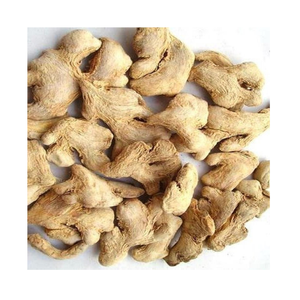 Racine de gingembre entière séchée de haute qualité, épices et herbes de qualité supérieure, fabriquées en Inde, prix de gros avantageux - Product Image 5