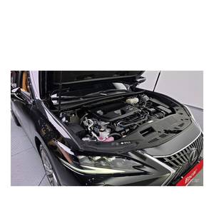 Lexus ES Executive Modelo Diciembre 2024, 18,305 km, Volante a la Izquierda, Asientos de Cuero, Cámara Trasera - Product Image 6