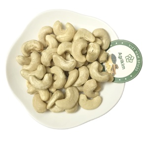 WS + 84359166896 [MEILLEUR EXPORTATEUR] Noix de cajou WW320 WW180 450 SP WP LP Noix de cajou W240 Agrikim exportées au prix le moins cher - Product Image 1