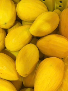 Rodajas de Mango Deshidratado Dulces y Masticables, Snack de Fruta Premium de Vietnam, Fruta Deshidratada Suave, Snack Saludable, Venta al por Mayor, Marca Privada - Ms. Grace - Product Image 3