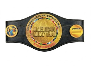 Pulsera Deportiva de Silicona con Logotipo Personalizado para Campeonato de MMA, Regalo para Niños y Adultos - Product Image 1