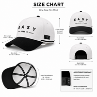 Casquette de baseball 5 panneaux personnalisée avec logo, broderie 3D, bicolore, imperméable, respirante et ajustable pour hommes – Vente en gros
